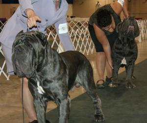 2010-Nationals-26