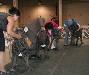 2010-Nationals-27