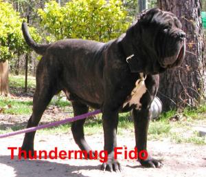 THUNDERMUG-FIDO-2