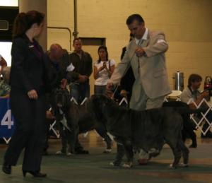 2010-Nationals-58