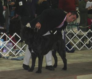 2009Nationals-9
