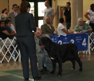 2010-Nationals-46