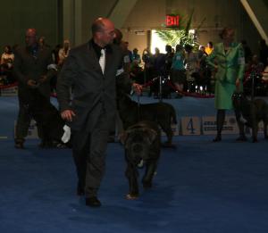 Eukanuba-4