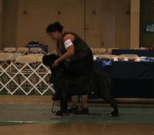 2010-Nationals-5