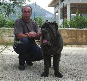Maggio3