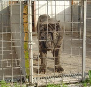 Argo