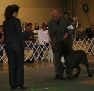 2010-Nationals-54