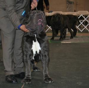2010-Nationals-32