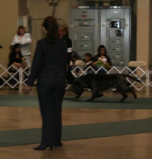 2010-Nationals-40
