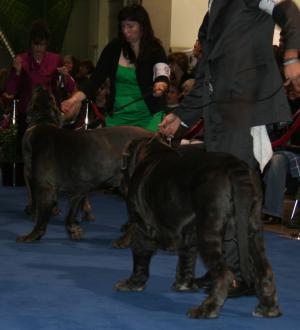 Eukanuba