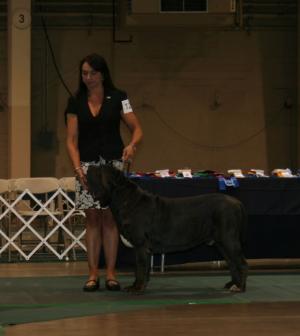 2010-Nationals-22