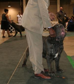 2010-Nationals-34