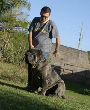 Mercurio4anos19