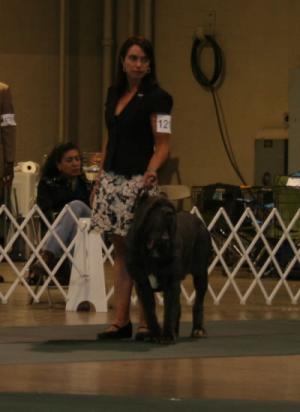 2010-Nationals-59