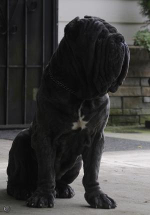 Filippo2