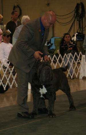 2010-Nationals-51