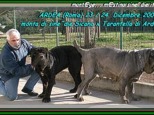 Monta Sicano x Tarantella 23 ,, 24 Dicembre 2006