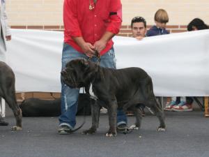 IMG_0529