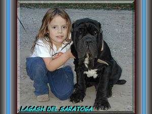 LAGASH DEL SARATOGA
