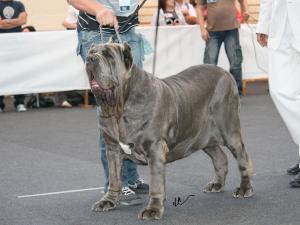 IMG_0637