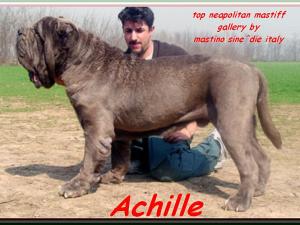 achille16 xxx