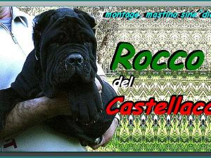 Rocco del Castellaccio, to 90 days,,