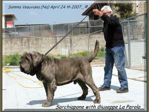 Sarchiapone with Giuseppe La Parola,,,