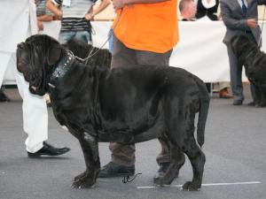 IMG_0742