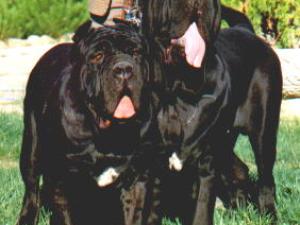 Nerone y Erika