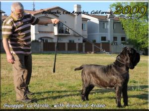 Lax Brenda di Ardea with Giuseppe La Parola