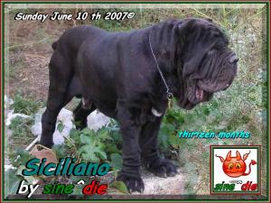 Siciliano by sine^die,,, Sunday. June 10 th 2007