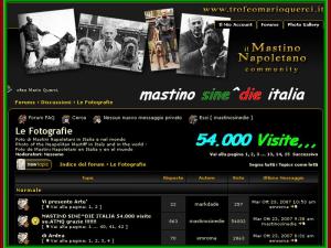 54.000 visit ATMQ x mastino sine^die italia,,, thanks thanks thanks