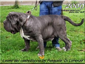 Scisciano 2009 ,,