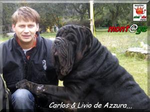 Carlos & Livio de Azzura
