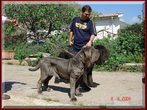Eduardo con Sephora & Sicano