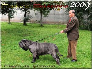 Remo de Azzura