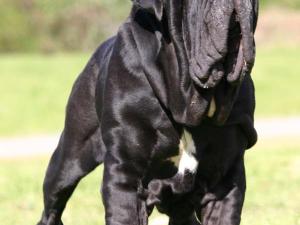 3-5yIMG_8271