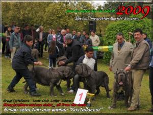 Castellaccio Group,,, broter of Luna