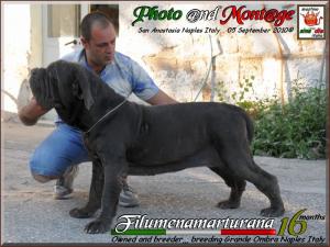 Grande Ombra  with Tommaso.