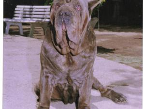 Hatrim della grotta azzurra - by salvatore di micco