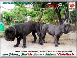 Joining,,, Sine^die Sicano x Aisha del castellaccio owner Pietro Curro,,,