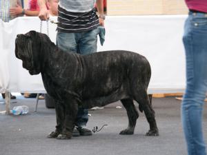 IMG_0757