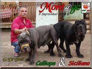 Joining,,, Siciliano & Calliope del Castellaccio by Di Blasi,,, 5 sept 08,,
