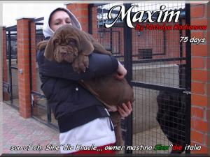 Natalya & Maxim 75 days