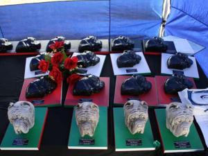 placetrophiesIMG_8646