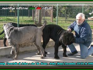 Monta Sicano x Tarantella 23 ,, 24 Dicembre 2006 x