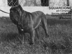 squarcioneCH82