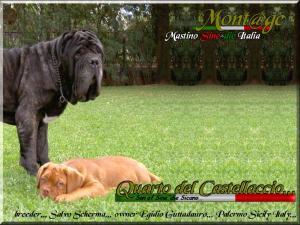 Quarto del Castellaccio,,,