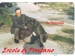 ercole di positano - 6