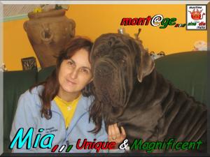 Mia Unique & Magnificient,,, mont@ge mastino sine^die italia,,,,